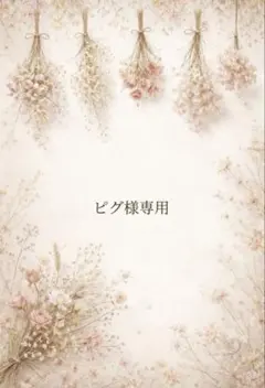 ピグ様専用 オーダー