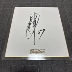 2026年最新】中村悠平 サインの人気アイテム - メルカリ