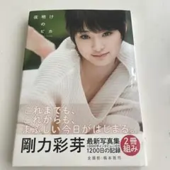 2026年最新】剛力彩芽の人気アイテム - メルカリ