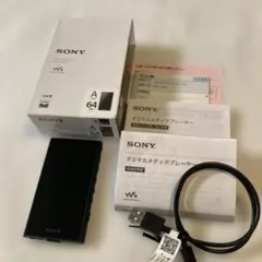 2025年最新】nw-a307 64gbの人気アイテム - メルカリ