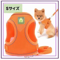 Item thumbnail for item ce3c6b7d-947f-4d83-8cdf-9efb721b2178