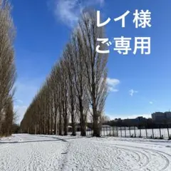 レイ様ご専用　大きめトートバッグ　ハンドメイド　花柄