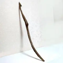 Item thumbnail for item 2e0897f5-87b2-4ca5-a5dd-3730fee4a6fe