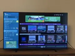【5年延長保証付】東芝テレビ50型　REGZA　50M550L　2025年製のサムネイル