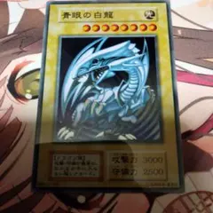 ステンレス　青眼の白龍