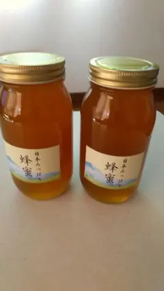 高知県産⭐︎蜂蜜⭐︎濃厚⭐︎日本ミツバチ⭐︎1200g - メルカリ