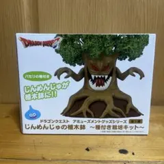 ドラゴンクエスト じんめんじゅの植木鉢 種付き栽培キットのサムネイル