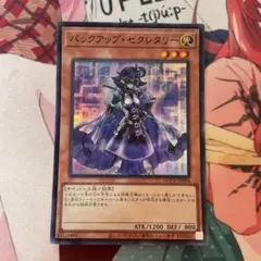 バックアップ・セクレタリー　スーパー