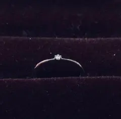 Item thumbnail for item 186bf832-c20d-438c-823e-421ace2afbce