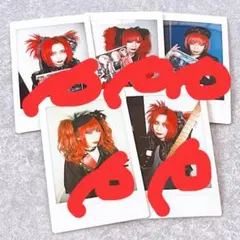 Royz 公大 チェキ14枚セット - メルカリ