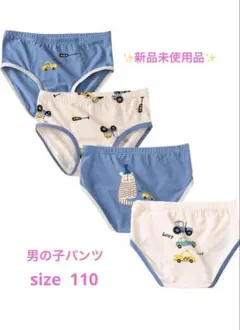 ボクサーブリーフ 110