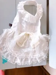 Item thumbnail for item 2f44addc-6fd2-4cc3-aa4d-0bc7a04df3c1