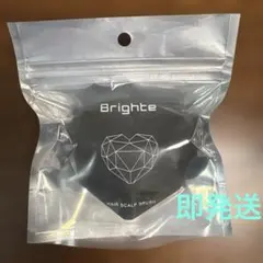 ブライト　ヘアスカルプブラシ　新品