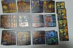 リースボルシャック