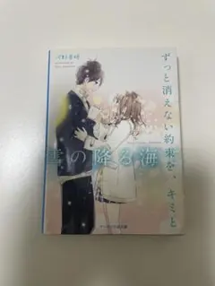 ずっと消えない約束を、キミと〜雪の降る海で〜 河野美姫