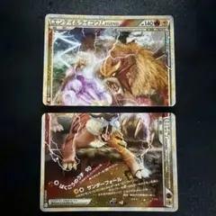 2026年最新】エンテイ＆ライコウ legendの人気アイテム - メルカリ