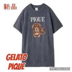 ジェラートピケ シーズー ジャガードワンピース ネイビー 新品 犬柄