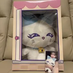 加藤心 CORON おすわりミャイズ トレカ付 - メルカリ