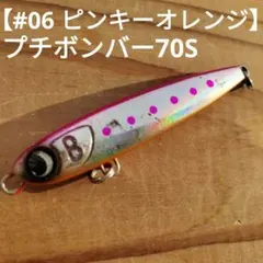 Item thumbnail for item f695482b-29c7-44e3-87e4-1e3e6428a99f