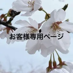 ララちゃま様専用はページ