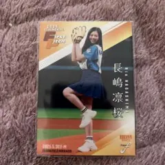 Item thumbnail for item 3e098876-a88f-46be-8698-9fa0ce87d949