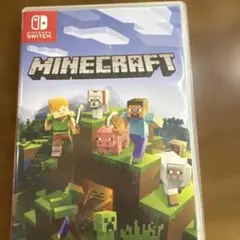 Minecraft Nintendo Switch版