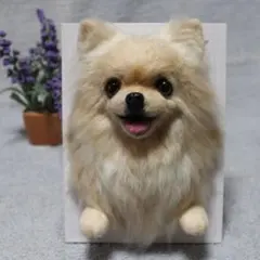.〜COCO₍ᐢ‥ᐢ₎ ♡さま専用 羊毛フェルト 額飾り