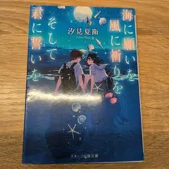 汐見夏衛 海に願いを風に祈りを君に誓いを