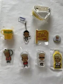 三代目J SOUL BROTHERS ライブグッズ(ELLY)おまけ付き