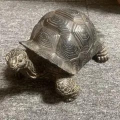 置物 縁起物 動物 ペット ガジェット BESS 亀 引き取り限定 - メルカリ