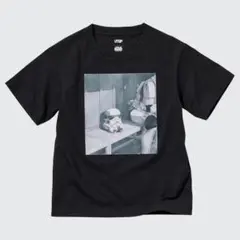 Item thumbnail for item 19511dc8-f956-4848-911b-7c3d5d59d393