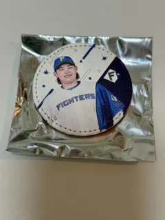 Nya✴︎4/9まで発送不可様 リクエスト 2点 まとめ商品