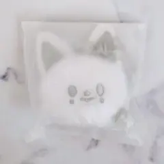 ♡ スキズ 韓国 ポップアップ FACE KEYRING シルバー アイエン