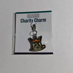 嵐 Beautiful World チャリティーチャーム