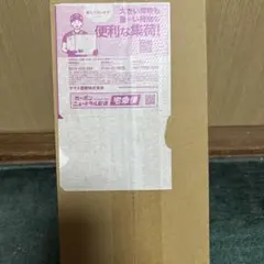 ポケモンカードゲーム　スペシャルBOX ヒロシマ（未開封、シュリンク付）