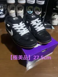 【極美品】Nike SB Dunk Low Pro 