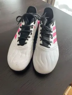 Item thumbnail for item 04aa6cf0-a593-43a4-8793-65061358d609