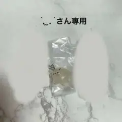 ٍ ٛ . ̫ . ٛ ٍさん専用 ココモとスモア めじるしアクセサリー 犬めだかA