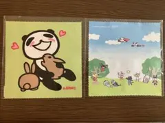 アランジアロンゾ　メガネ拭き