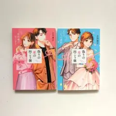 偽りの愛の向こう側 2巻セット