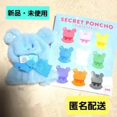 ディズニーストア　シークレットポンチョ　青　水色　ユニベア　着せ替え