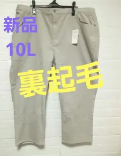 レディース 10L ズボン パンツ あったか 裏起毛 大きいサイズ