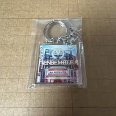 Mrs.GREENAPPLE ENSEMBLE TOUR キーホルダー - メルカリ