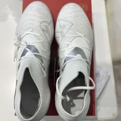 Item thumbnail for item 43f23837-1be8-4687-8901-9ac137cfa23c