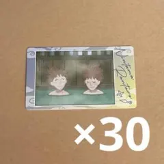 忍たま乱太郎 双忍 スナップマイド 30枚