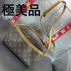 LOUIS VUITTON ルイヴィトン　ブロワ　ショルダーバッグのサムネイル
