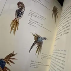 Item thumbnail for item f9a851d4-c7c2-4298-92db-81cf24a63c96