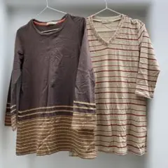 CROCODILE ブラウン ストライプ 長袖Tシャツ　チュニック　クロコダイル