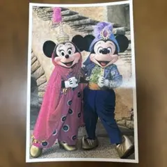 東京ディズニーシー ミッキー ミニー ポストカード