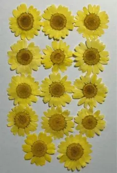 Item thumbnail for item 11c56860-15b1-4063-84a2-902e0261e8af